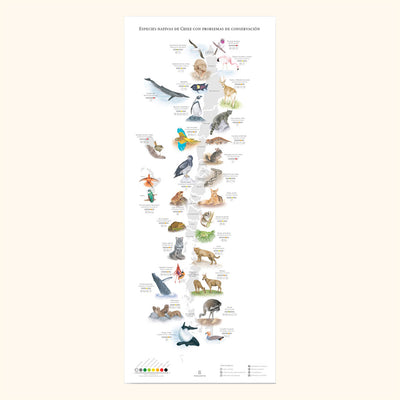 Mapa Especies Nativas de Chile con problemas de conservación 90x37 cm
